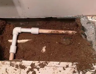 良庆测漏水哪家好