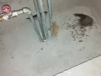 良庆卫生间测漏水价格明细